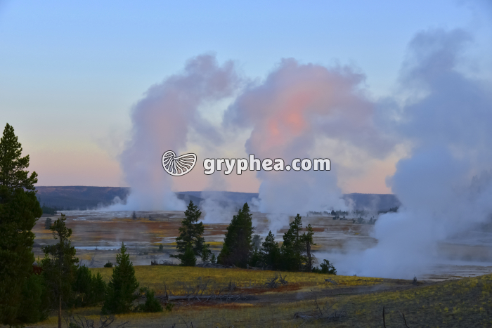 Sources hydrothermales (Yellowstone NP, Wyoming, USA) - gryphea.org